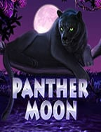 รีวิวสล็อต sl จากค่าย Pragmatic Play ที่ต้องลอง!